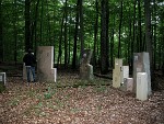 Gregor Busch-Bilder