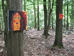 Ingrid Kraus-Bilder