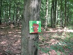 Ingrid Kraus-Bilder