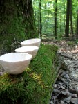 Carina Hornung-Installation