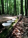 Carina Hornung-Installation
