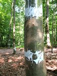 Volker SchüKlaus Kadel-Magin-Installationen