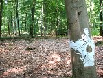 Volker SchüKlaus Kadel-Magin-Installationen