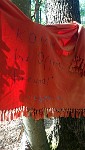 Sabine Kost - Installation