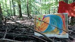 Sabine Kost - Installation