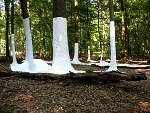 MMarcu Ohnenamen-Bilder