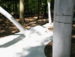 MMarcu Ohnenamen-Bilder