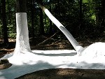 MMarcu Ohnenamen-Bilder