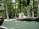 MMarcu Ohnenamen-Bilder