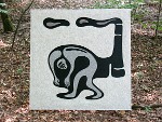 MMarcu Ohnenamen-Bilder
