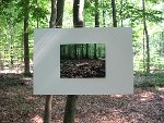 Alexander Stier - Fotos