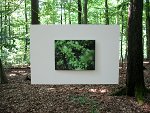 Alexander Stier - Fotos