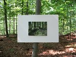 Alexander Stier - Fotos