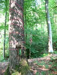 Jrg Welsch-Installation