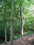 Jrg Welsch-Installation