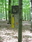 Gregor Busch-Bilder