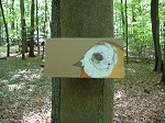 Gregor Busch-Bilder