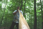 Hans-Peter Pelotte Didgeridoo