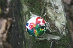 Giftpilze von Volker Schuetz