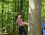 Runxia Deng Kaestchenobjekte
